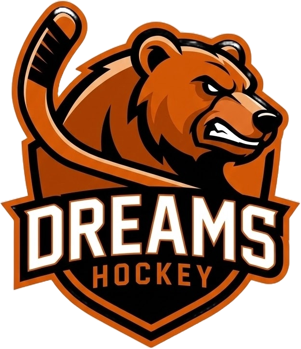 Dreams Hockey Bear